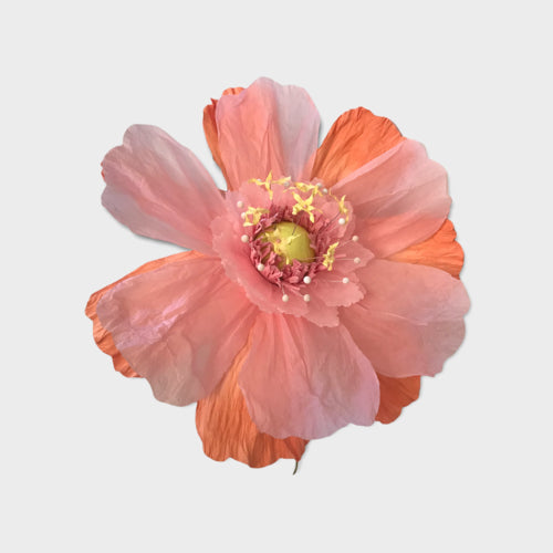 Dancing Paper Flower - Peach