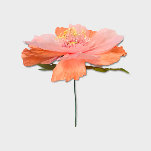 Dancing Paper Flower - Peach