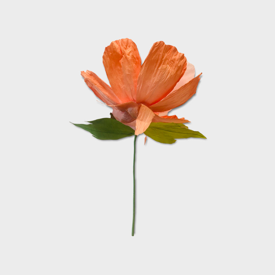 Dancing Paper Flower - Peach