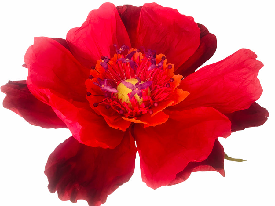 Dancing Paper Flower - Red