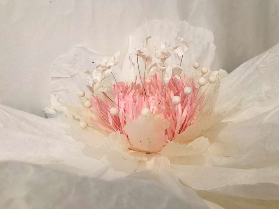 Dancing Paper Flower - White